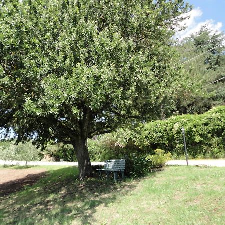 Grazioso Appartamento In Villa Bracciano  Exterior photo