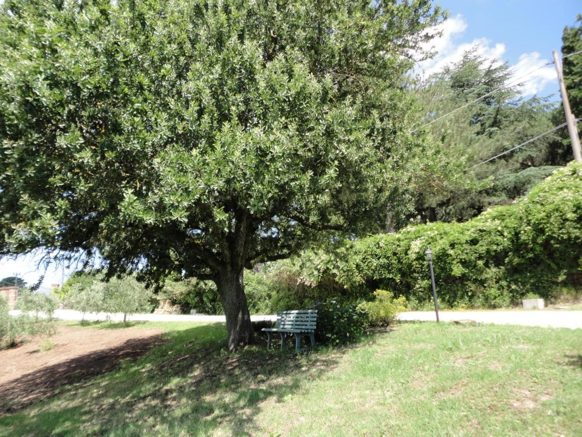 Grazioso Appartamento In Villa Bracciano  Exterior photo