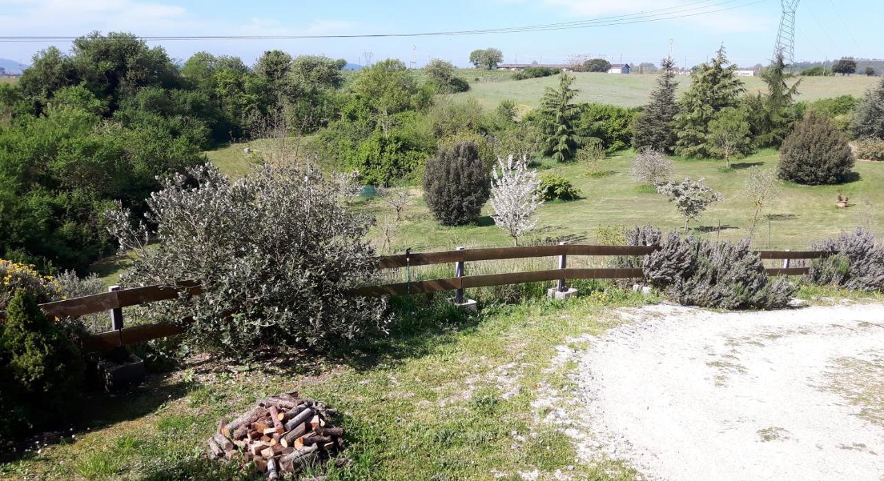 Grazioso Appartamento In Villa Bracciano  Exterior photo